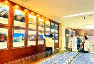 广州进口D2 Phaser厂家