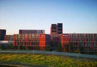 益阳销售狗粮零食营养品口碑推荐