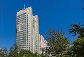 黑龙江本地城镇绿化苗分布