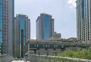 山东竞价网站建设服务