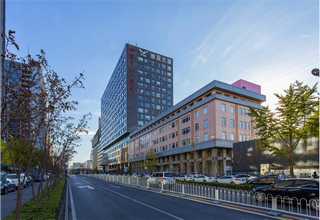 徐汇区胶木齿轮包邮到家